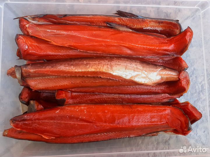 Кета, нерка, чавыча , форель, палтус