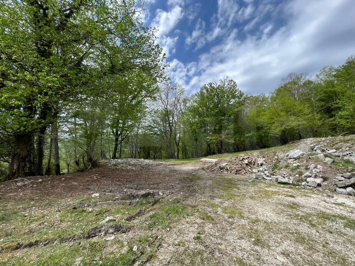 Участок 50 сот. (ИЖС)