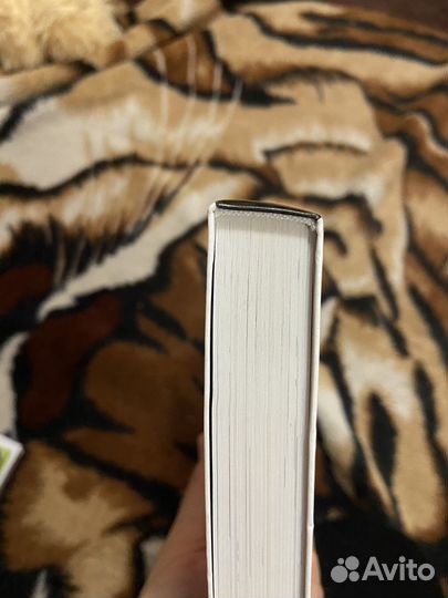 Итальянско-русский словарь в картинках