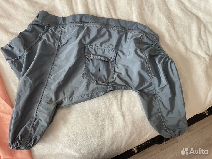 Комбинезон на собаку (самоед, лабрадор), кобель