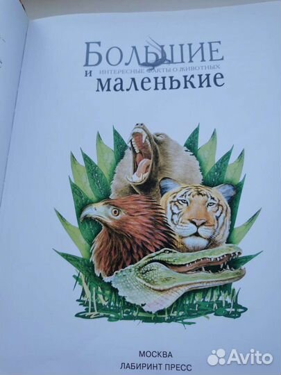 Большие и маленькие интересные факты о животных