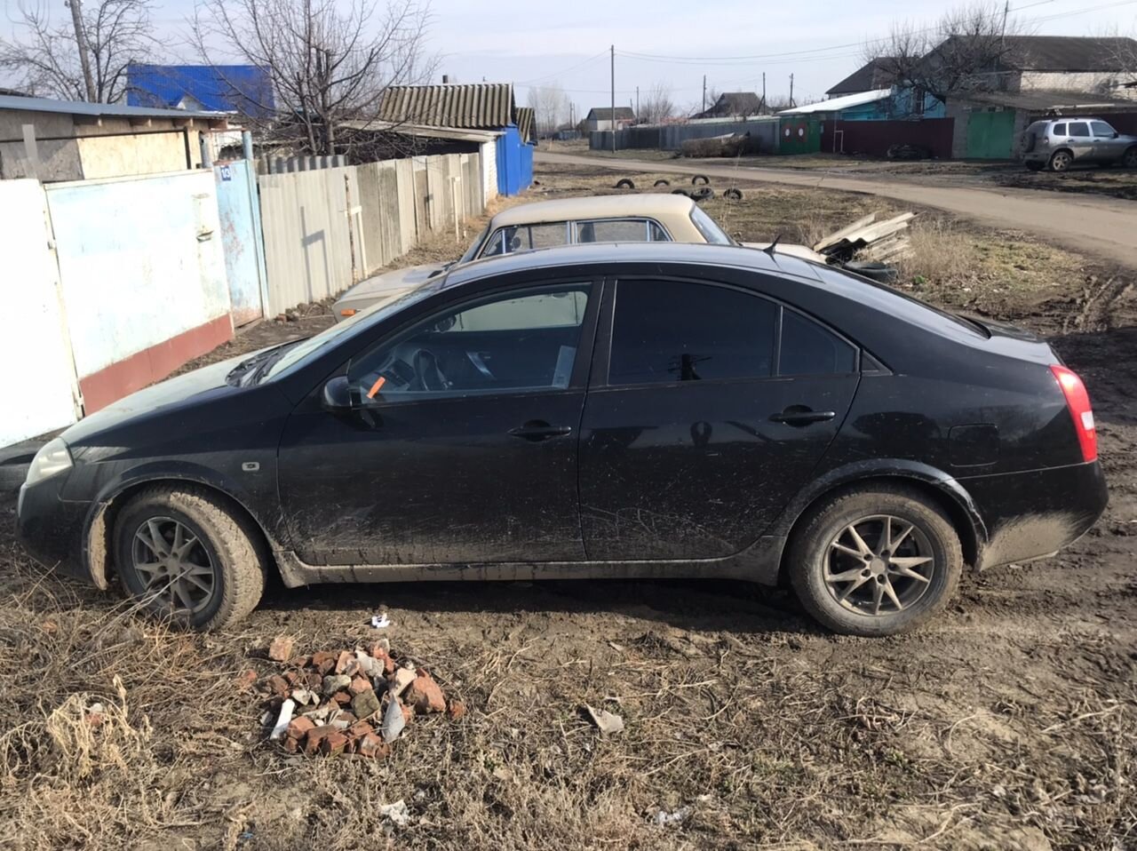 Nissan Primera: фото владельца
