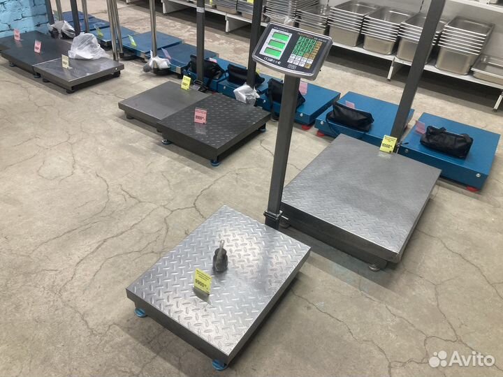 Весы напольные до 800кг