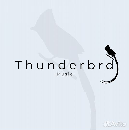 Оформление/дизайн групп Вконтакте