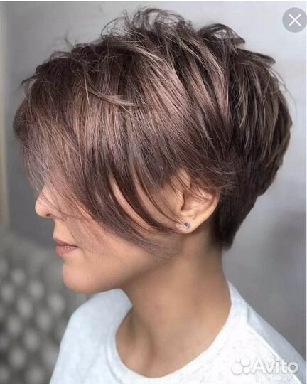 Требуются модели бесплатно