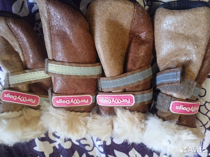 Зимняя обувь для собак