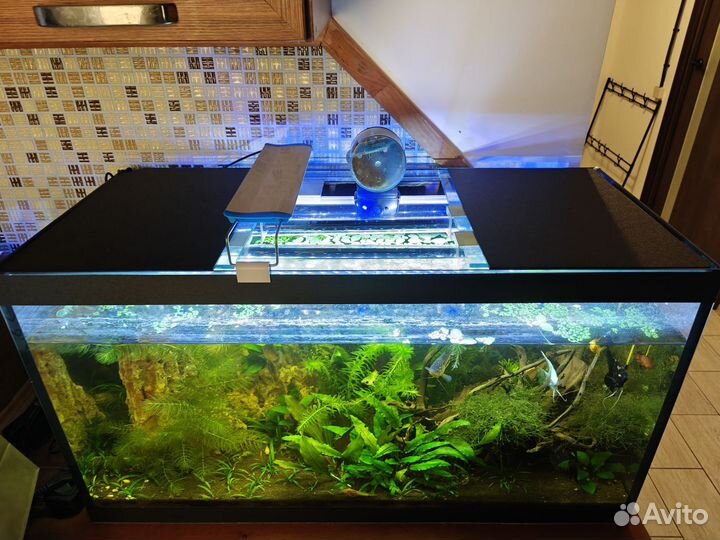 Аквариум 120 литров