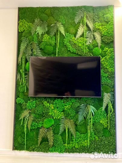 Стабилизированный Мох.Озеленение. Фитостена