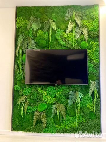 Стабилизированный Мох.Озеленение. Фитостена