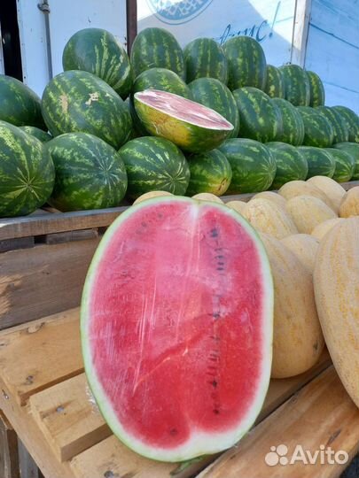 Арбузы Дагестан