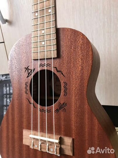 Укулеле flight концерт