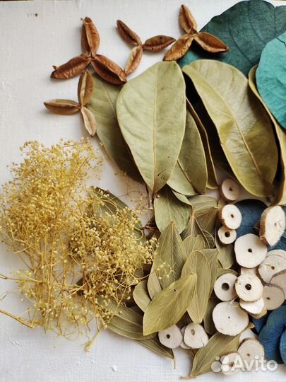 Набор для творчества. Сухоцветы. Для коллажа