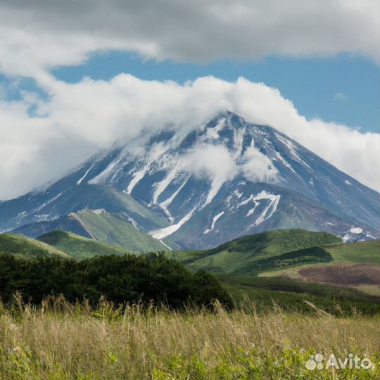 Организация праздников и мероприятий