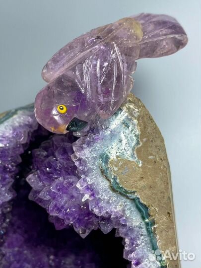 Аметист жеода с папугаем