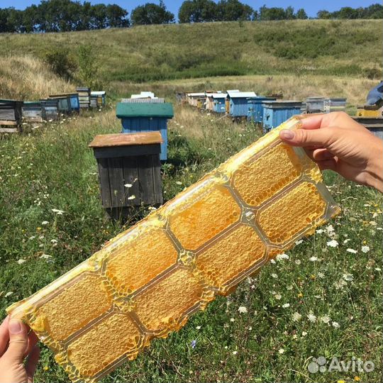 Мед И продукты пчеловодства