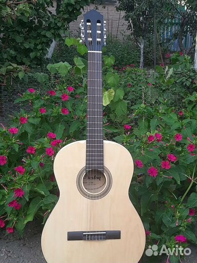 Гитара veston C-45A BK и naranda CG220