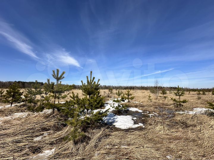 Участок 7,2 сот. (ИЖС)