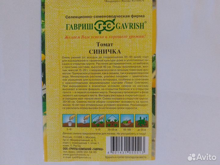 Рассада помидор