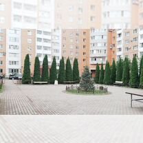 2-к. квартира, 56,1 м², 5/17 эт.