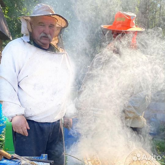 Матки пчёл, пчелопакеты