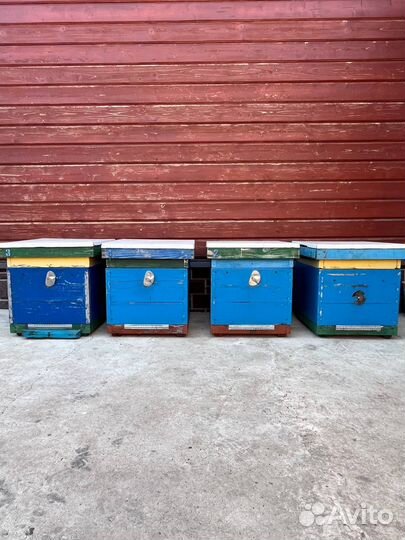 Ульи для пчел