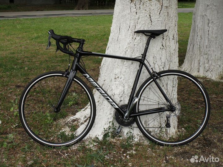 Merida Scultura Rim 300 2021 L