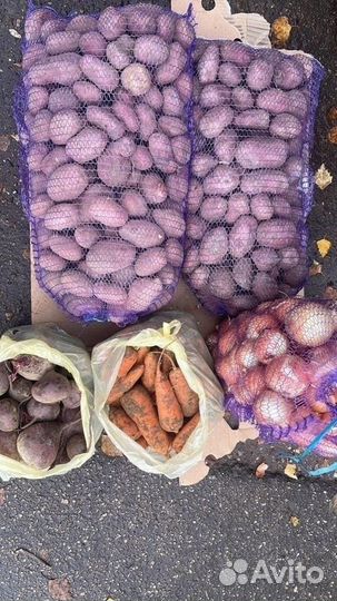 Картофель и овощи с доставкой на дом Ярега