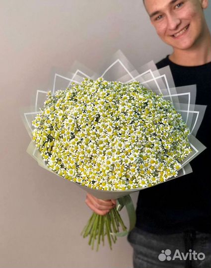 Букеты ромашек