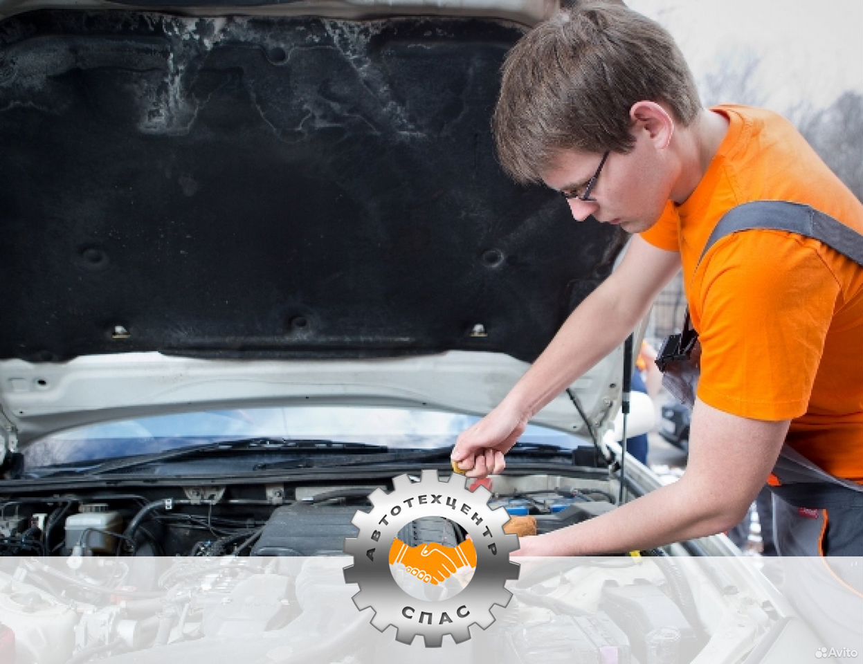 Транссексуалды жыныс мүшелері