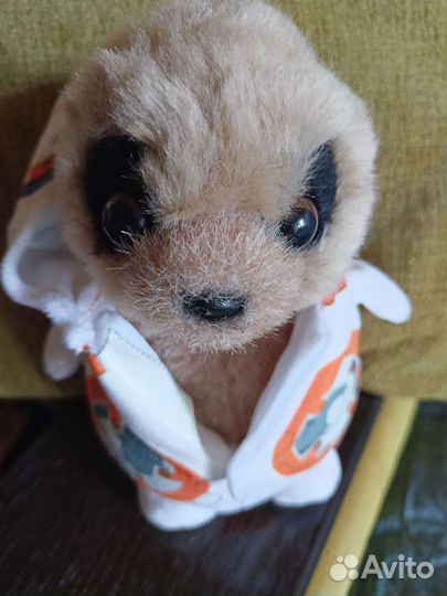 Коллекционный сурикат