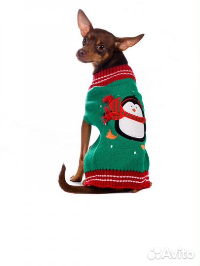 Свитер для собак мелких пород Rurri S новый