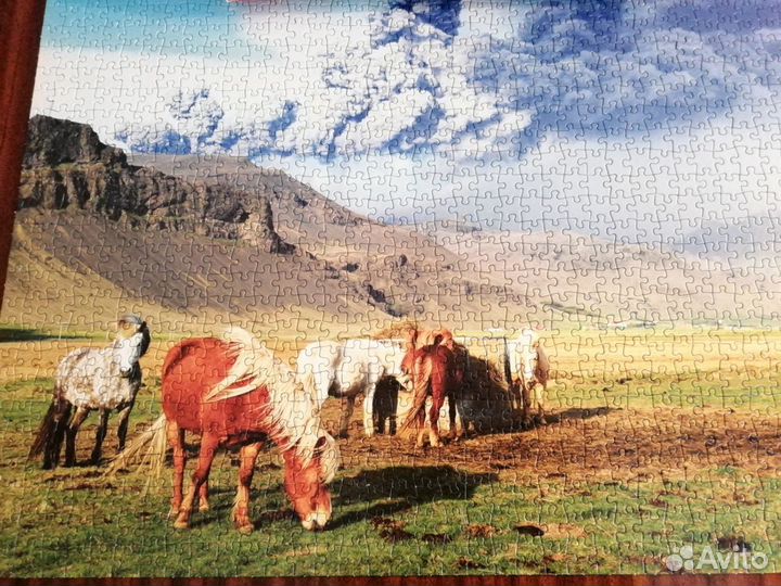 Продаю пазл на 1000 элементов