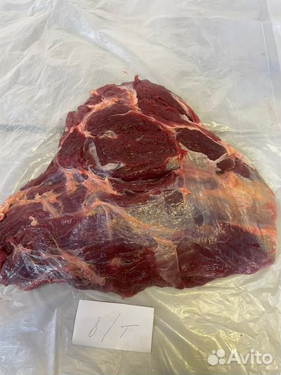 Продам мясо говядины