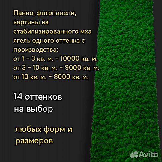 Панели картины, стены, перегородки из мха ягель от