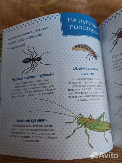 Живая природа за городом. Сказки дядюшки Римуса