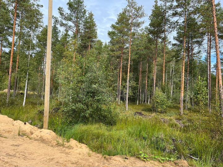 Участок 10 сот. (СНТ, ДНП)