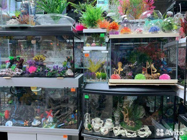 Черепашки и все для их содержания