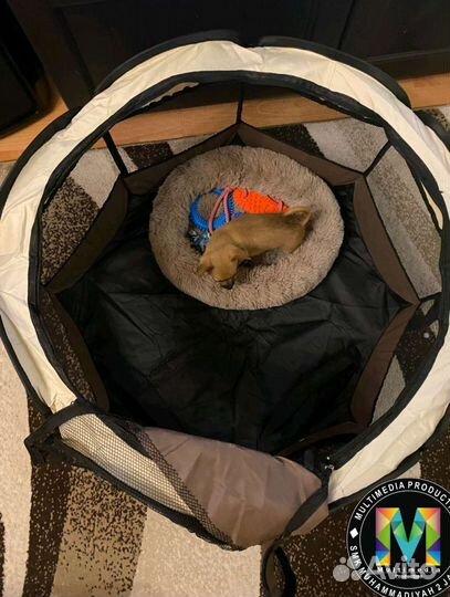 Клетка вольер для собак и кошек