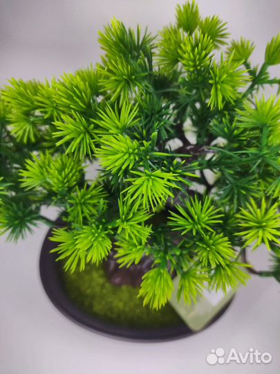 Бонсай искусственный