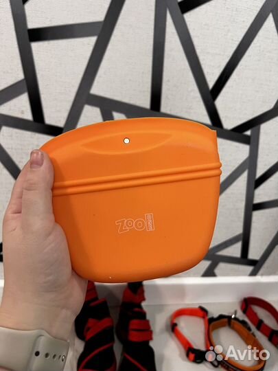 Комбинезон и обувь для собак