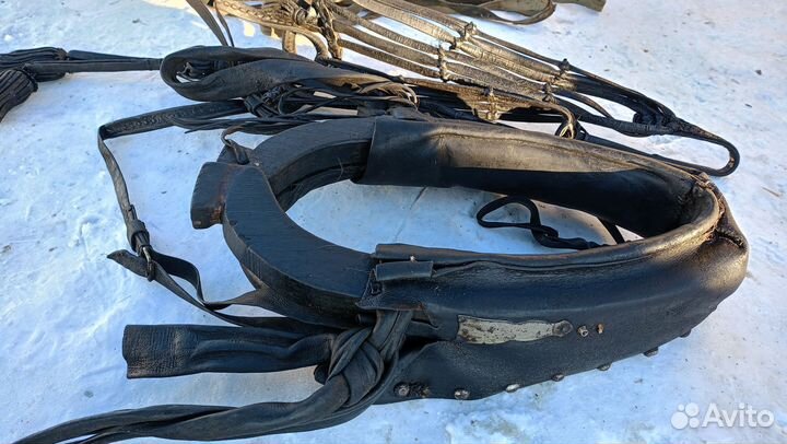 Сбруя для лошади