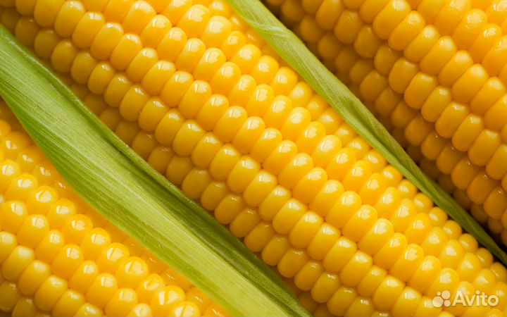 Разнорабочий 2000 на консервный завод вахта