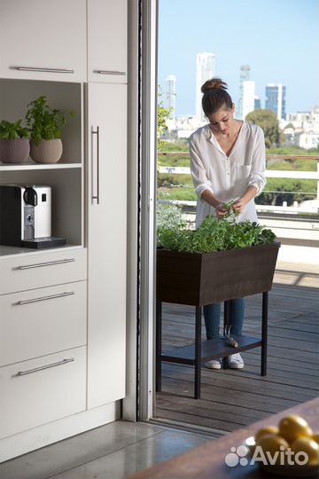 Грядка на ножках Bloomer Кетер 82х38,3х78 см