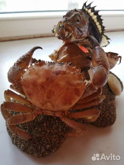 Композиция 