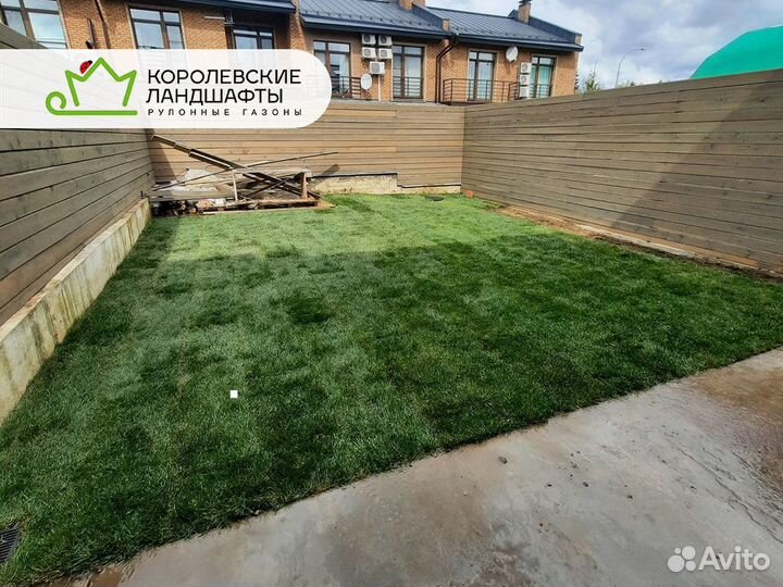Рулонный газон
