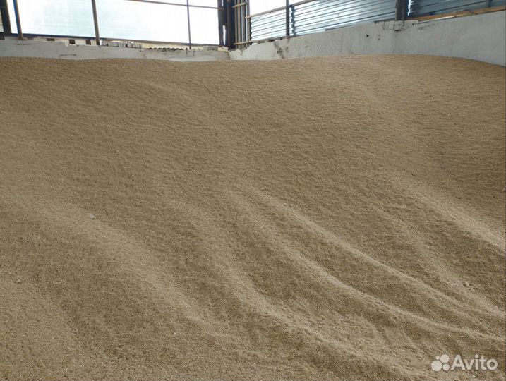 Продаю Пшеницу и Ячмень