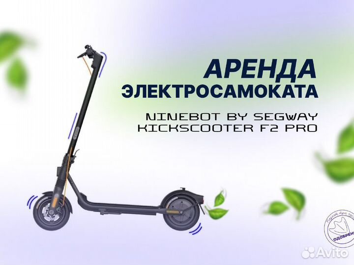 Прокат электросамоката NineBot F2 Pro