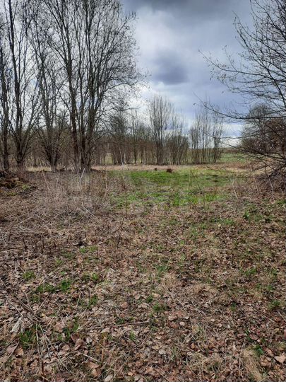 Участок 42 сот. (ИЖС)