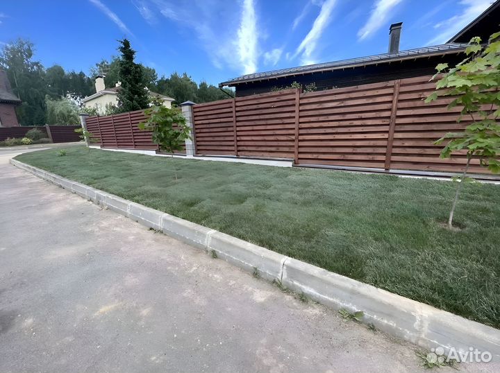 Рулонный газон