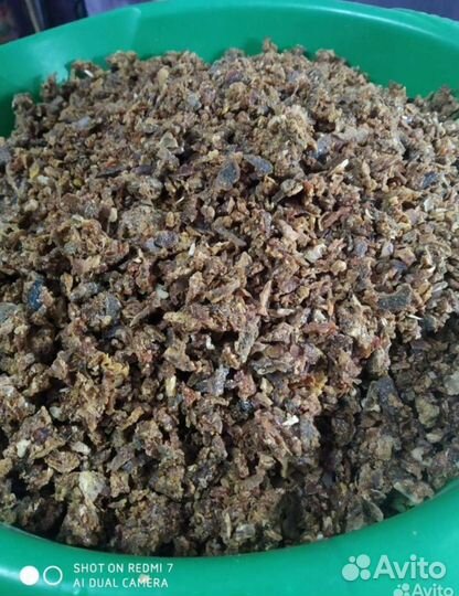 Продам прополис